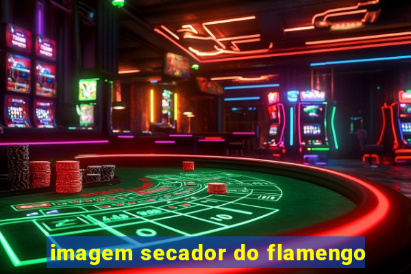 imagem secador do flamengo